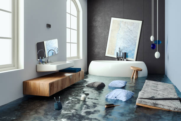 Best Mold removal after water damage  in Poolesville, MD