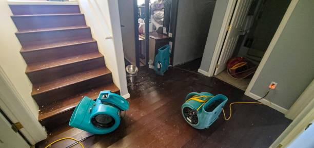 Best Water damage cleanup near me  in Poolesville, MD