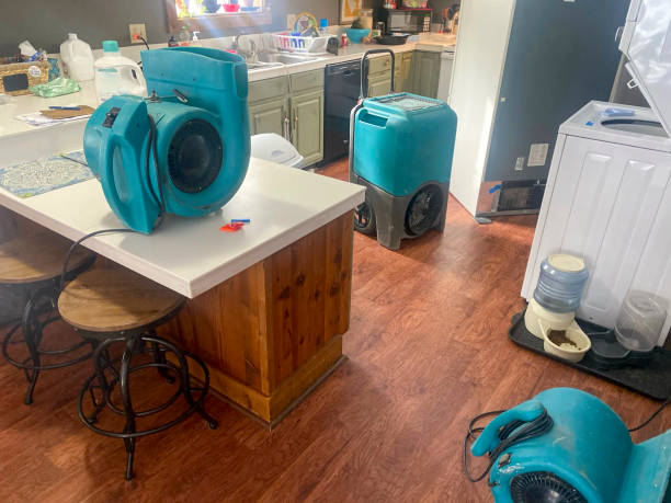 Best Water damage restoration near me  in Poolesville, MD
