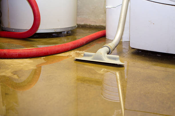 Best Water damage restoration near me  in Poolesville, MD