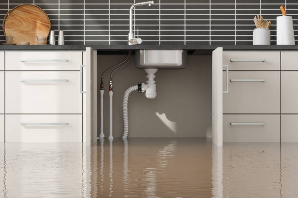 Best Water damage restoration experts  in Poolesville, MD