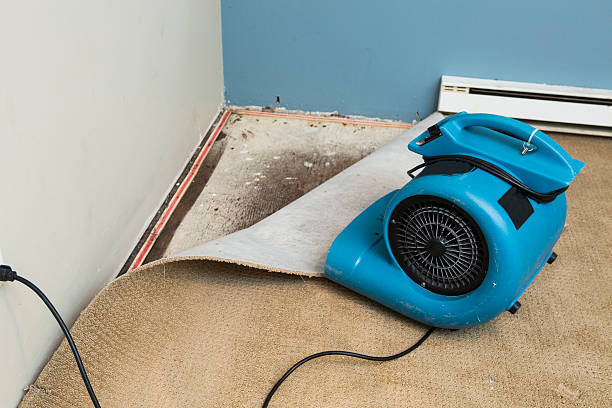 Best Flood restoration services  in Poolesville, MD